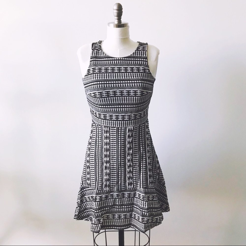 Loft Knit Textured Dress